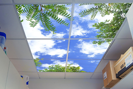 Sky Ceiling Lights
